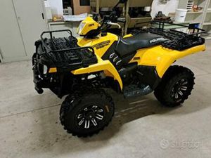 QYAD POLARIS SPORTSMAN 800 ANNO 2008