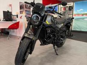 BENELLI LEONCINO 250 - 2024