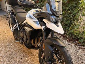 TRIUMPH TIGER 900 GT PRO