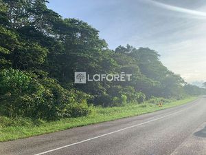 Terrain Mana à vendre