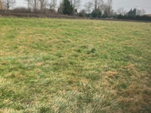 Terrains constructibles st angel 03170