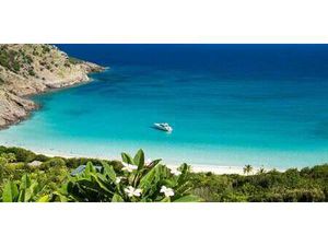 Terrain Saint-Barthélemy (971)