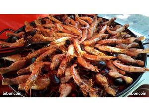 Tournée de marche traiteur / emplacement