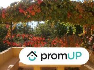 Vente maison 7 pièces 222 m² Vidauban (83550)