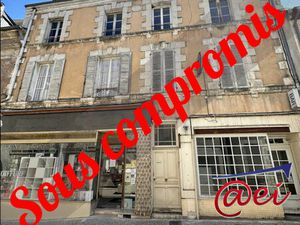 Vente maison 10 pièces 250 m² Châtillon-sur-Loire (45360)