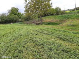 Terrain 4 906 m² Dame Marie Les Bois