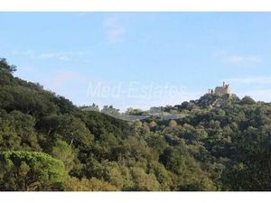 Terrain de 7000 m2 - Grimaud  France