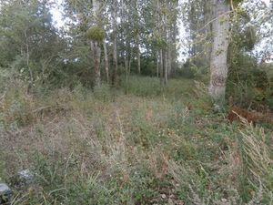 TERRAIN DE LOISIRS 2370 M2 EN PARTIE BOISEE DE PEUPLIERS
