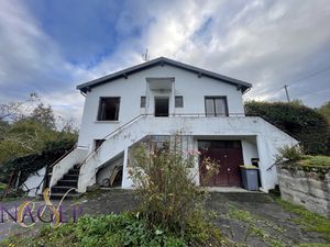 Maison avec grand terrain