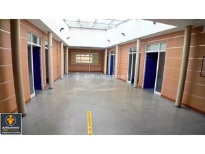 CASTRES CENTRE – IMMEUBLE INDÉPENDANT À USAGE PROFESSIONNEL