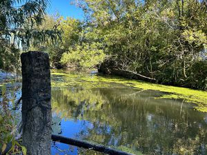 Vente maison 4 pièces  111.00m²  La Taillée