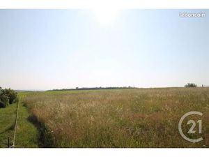 Terrain 1 546 m² Begues