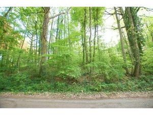 Terrain à Bâtir de +/- 19 ares - Faire Offre à partir de 140