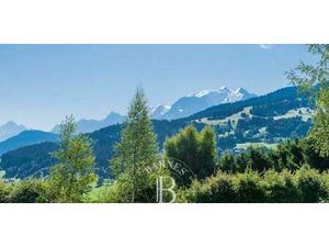 Terrain Demi-Quartier (74)