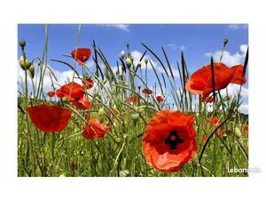 Terrain constructible deux Sevres