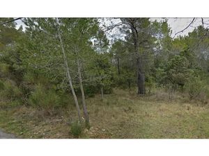 Vente terrain 11375 m² à Tourrettes (83440)  40 000 €