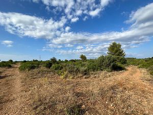 Vente terrain  5029.00m²  Juvignac