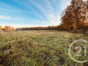 Terrain à vendre - 3327 m2 - Sezanne - 51 - CHAMPAGNE-ARDENNE