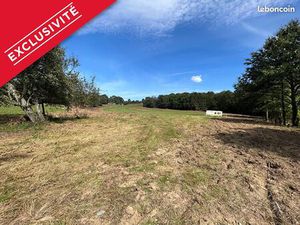 Terrain 1556 m² TOUCY