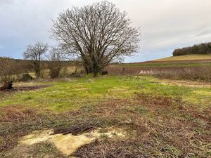 Vente terrain 6000 m² à Valpuiseaux (91720)  150 000 €