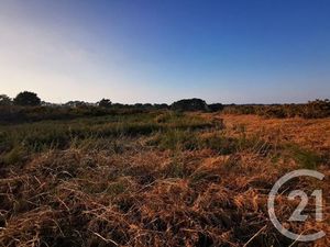 Terrain à vendre - 822 m2 - Quiberon - 56 - BRETAGNE
