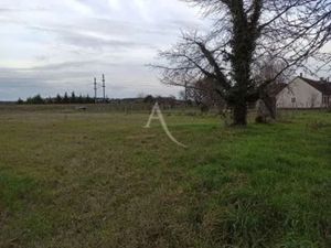 Vente terrain 3116 m² à Noyers-sur-Cher (41140)  67 000 €