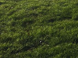 Annonce vente terrain terrain de 4076m2 à Courmangoux (01370) - ParuVendu.fr ref 992774376