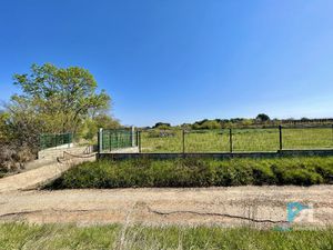 Terrain Agricole 6200 m2