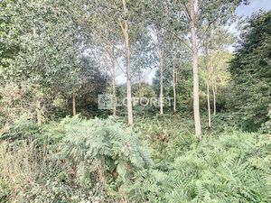 Terrain près de MAURON à vendre