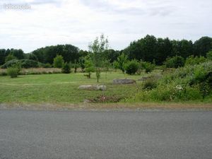 Terrain constructible