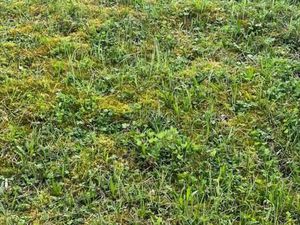 Terrain 1244 m² ROCHEFORT SUR NENON