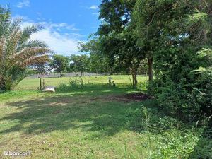 Terrain 5 832 m² Sainte Marie