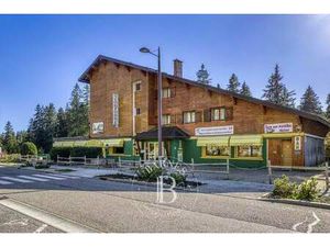 Commerce à vendre 32 Pièces 1061 m2 Gex PAYS DE GEX - 1 800 000 €