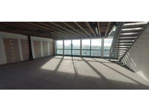 Location locaux professionnels 184 m² à Ducos (97224)  4 232 €