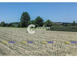 Vente terrain Assat 64510 - 71000 € - Surface Privée