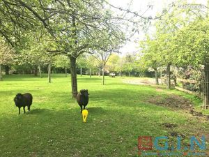 Terrain 1 387 m² Le Bocasse