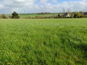 Terrains constructibles RESTE 2 LOTS Pouillé les Coteaux
