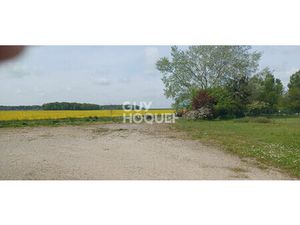 Terrain Orphin 7 018 m2