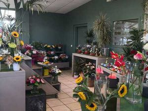 Vente commerce 220 m² Concarneau (29900)