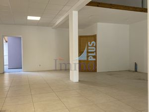 LOCAL COMMERCIAL ou PROFESSIONNEL (tous commerces) SALAZIE