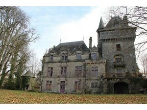 Vente château 23 pièces