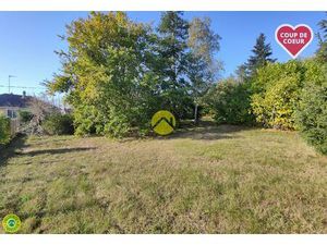 Vente maison 1 pièce Jouet-sur-l'Aubois (18320)