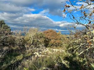 Vente terrain 52200 m² à Beaulieu (07460)  22 500 €