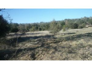 A VENDRE BOISSET GAUJAC