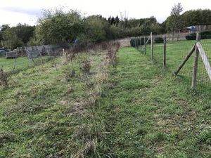 Vente terrain 2085 m² Celon (36200)