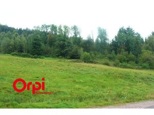 Vente terrain 970 m² à Cleurie (88120)  49 000 €