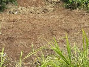 Vente terrain 1490 m² à Ducos (97224)  142 000 €