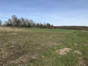 Superbe terrain Heckenransbach