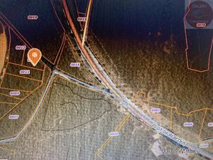 Terrain boisé – forêt