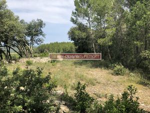 Terrain boisé – forêt